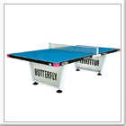 Butterfly Playground Tennis Table