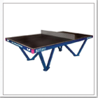 Butterfly Park Playground Tennis Table